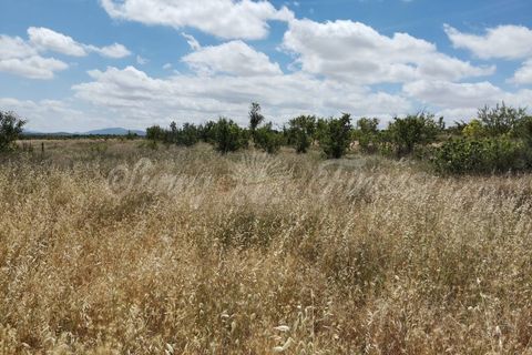 Landejendom i Yecla, Murcia, Yecla - € 65.000 | Ref: SF0314 - foto 21